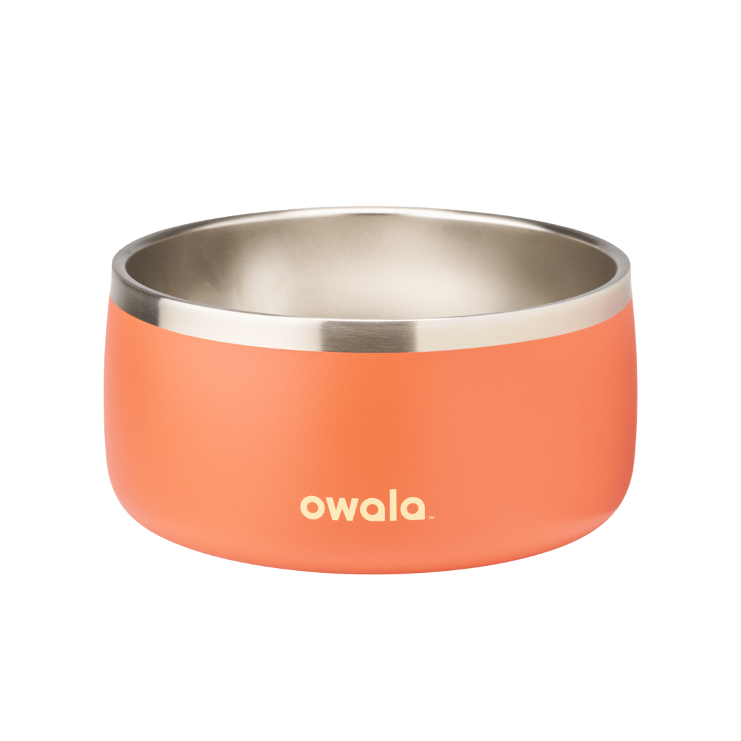 Pet Bowl F6