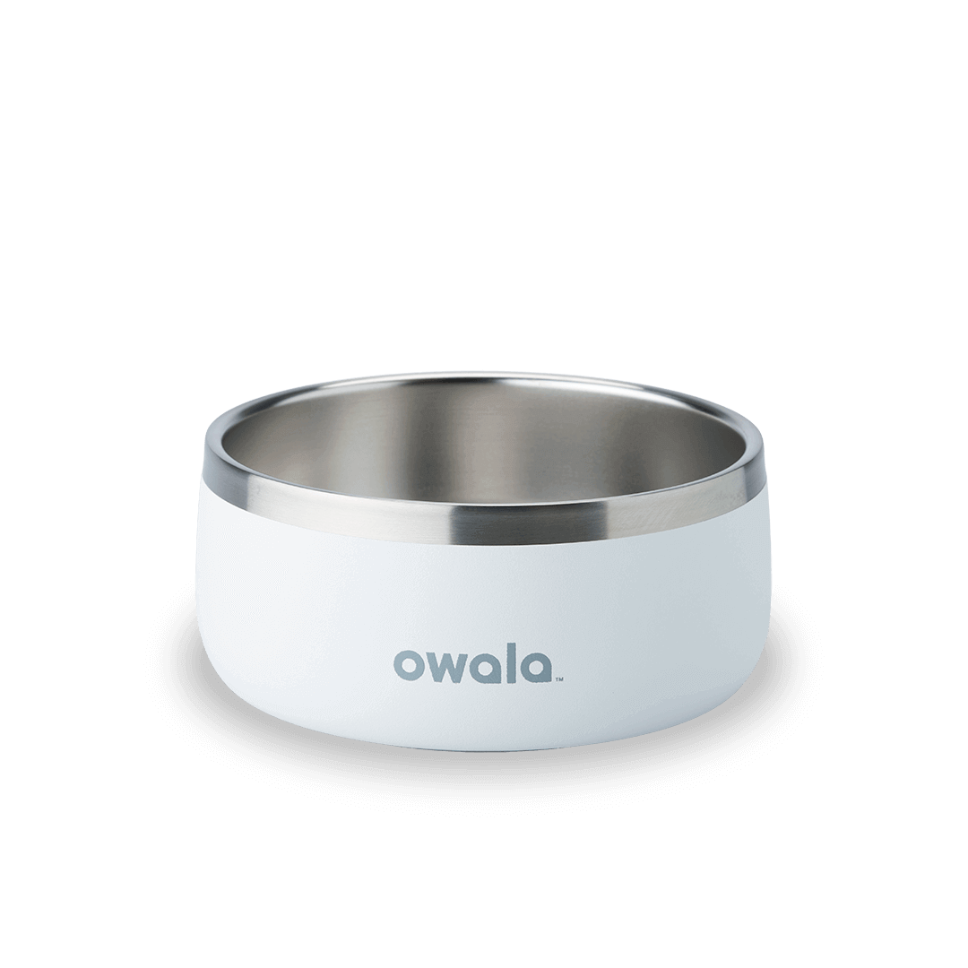 Pet Bowl F6
