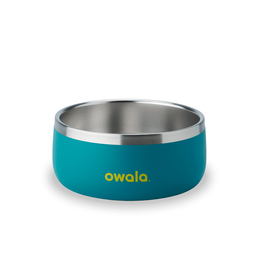Pet Bowl F6