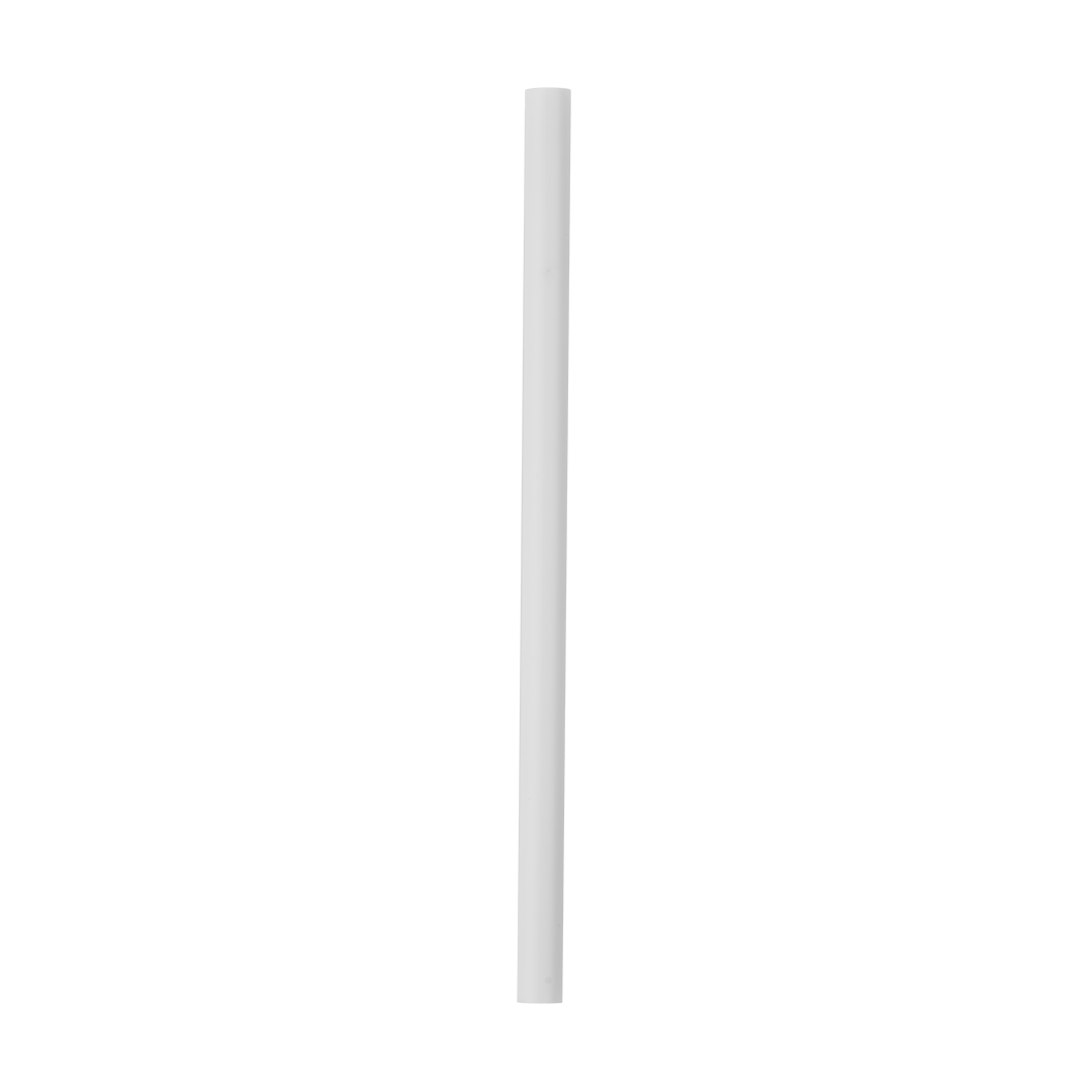 Replacement Straws P5